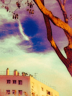 Paris, branche (jaune/mauve)